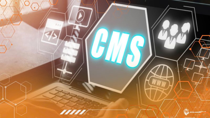 Vietnamese businesses choosing CMS platforms based on SEO, social media, and ecommerce needs