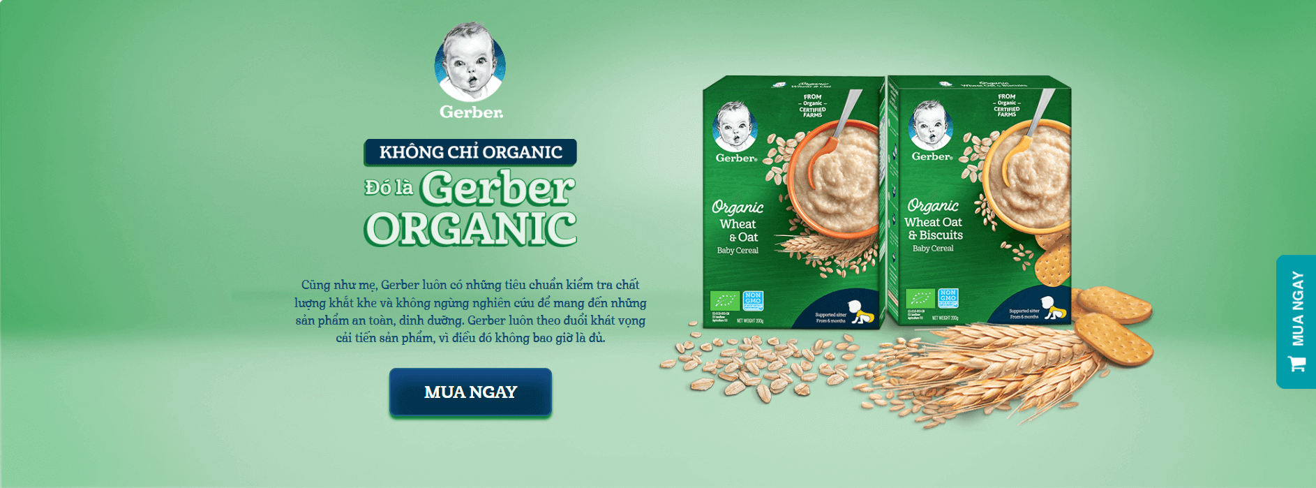 Gerber Product Campaign Website