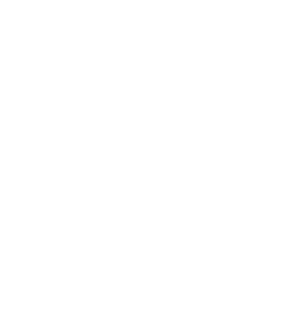 Collect and understand project needs and objectives.